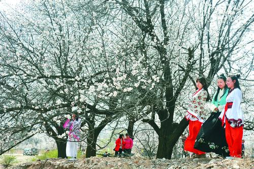太阳成集团全球产业布局示意